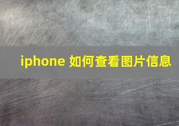 iphone 如何查看图片信息